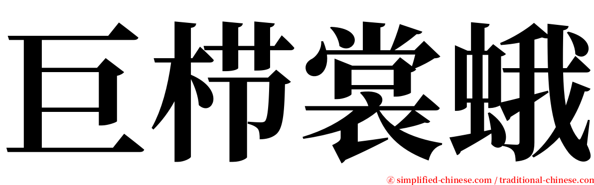 巨栉裳蛾 serif font