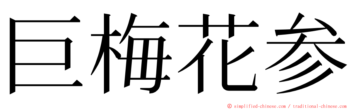 巨梅花参 ming font