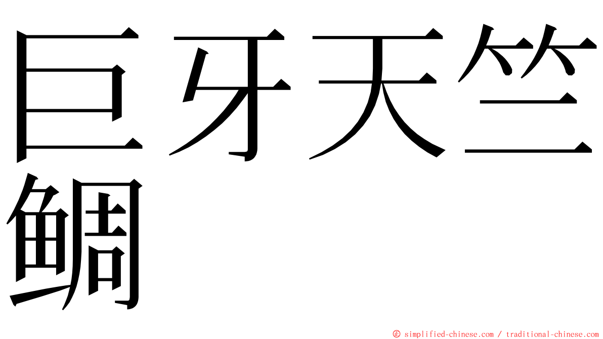 巨牙天竺鲷 ming font