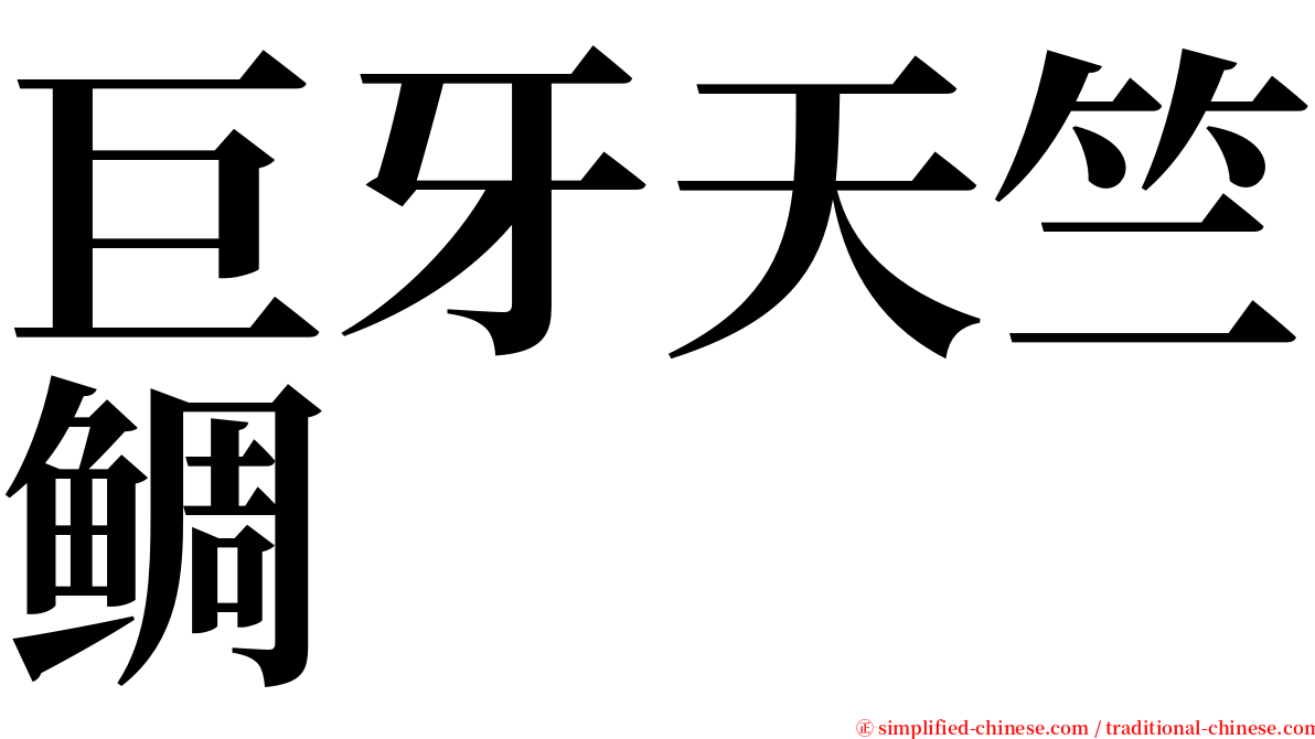 巨牙天竺鲷 serif font