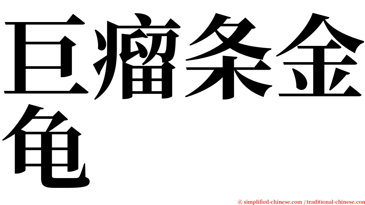 巨瘤条金龟 serif font