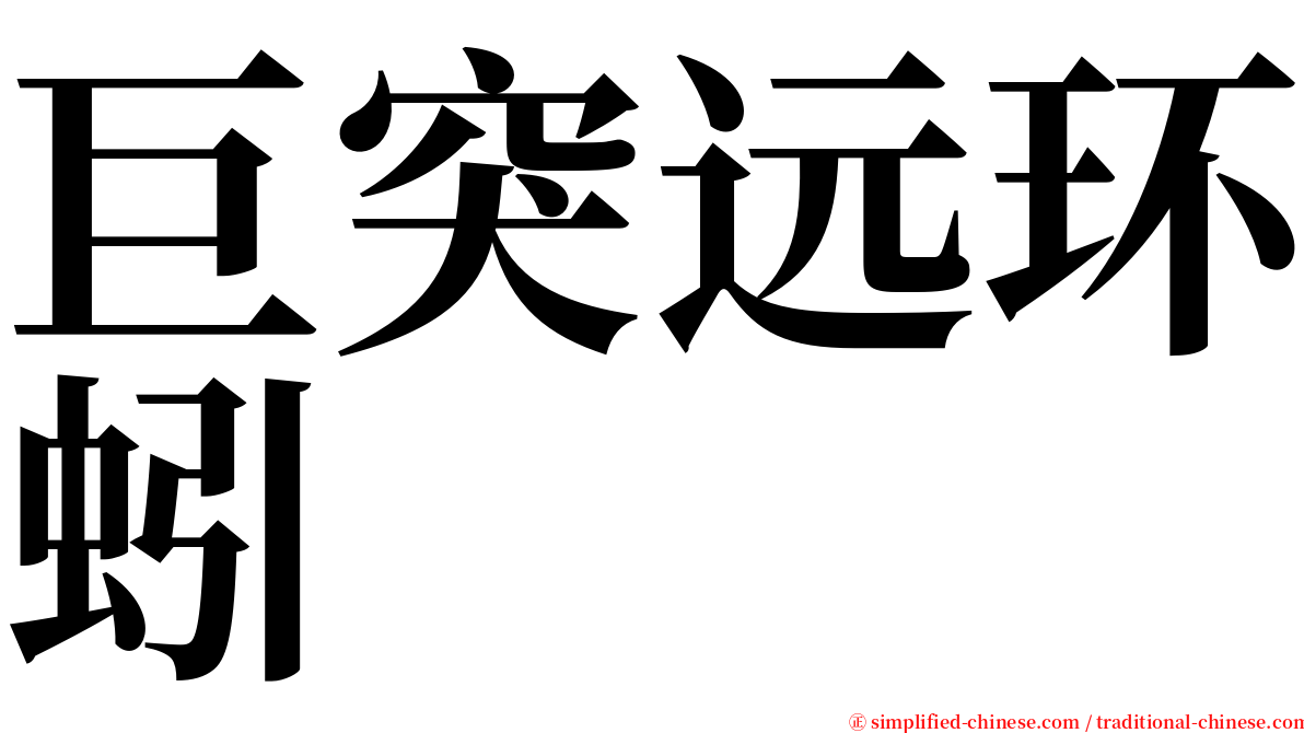 巨突远环蚓 serif font