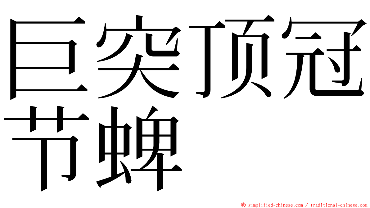 巨突顶冠节蜱 ming font