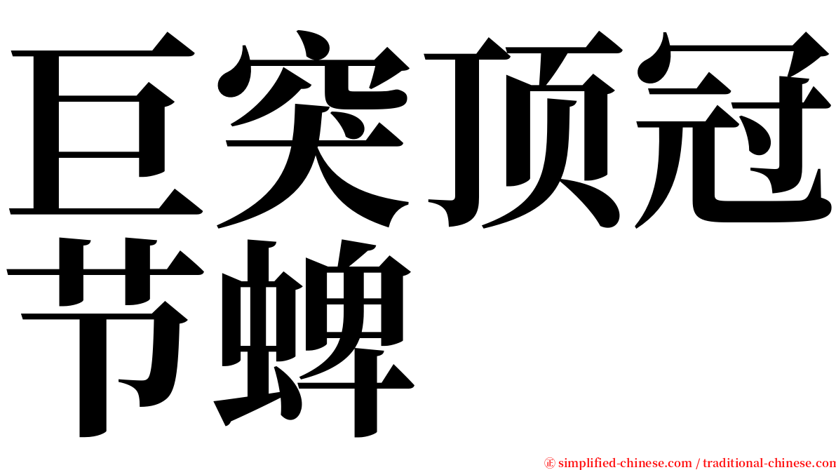 巨突顶冠节蜱 serif font