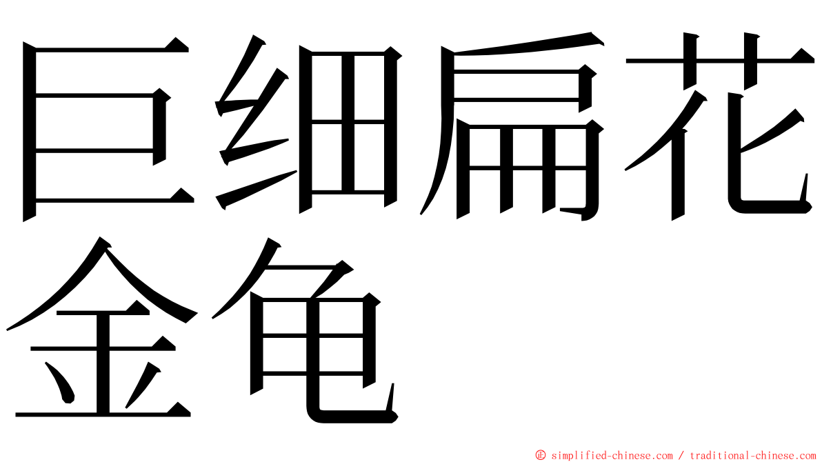 巨细扁花金龟 ming font