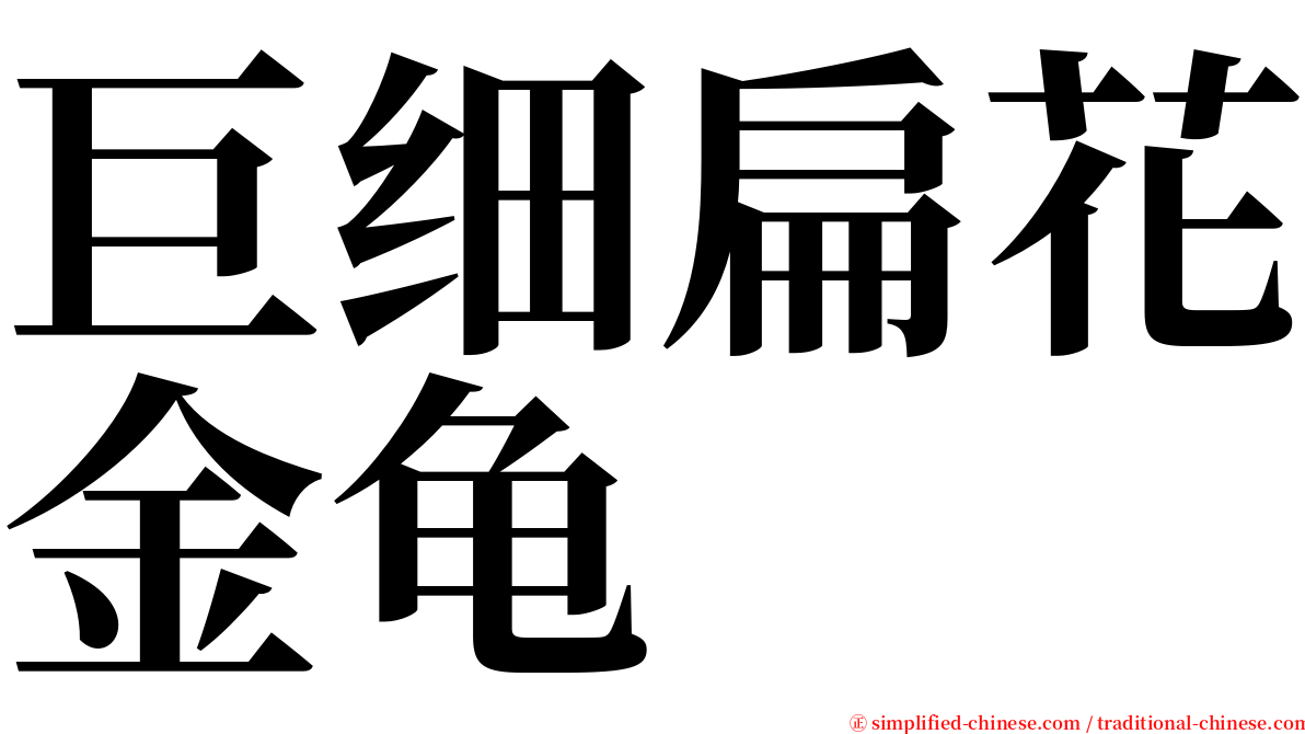 巨细扁花金龟 serif font