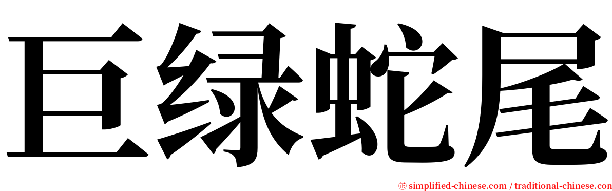 巨绿蛇尾 serif font