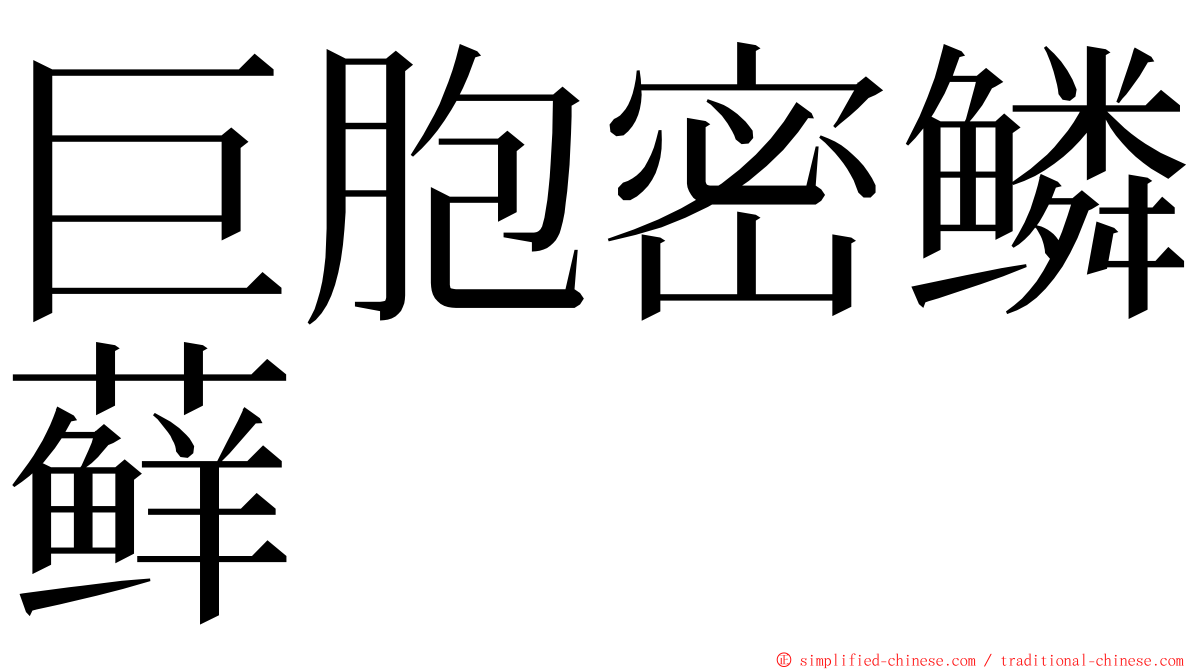 巨胞密鳞藓 ming font