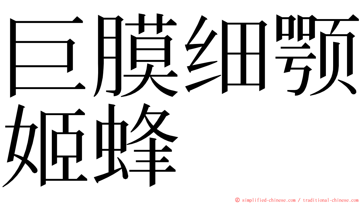 巨膜细颚姬蜂 ming font