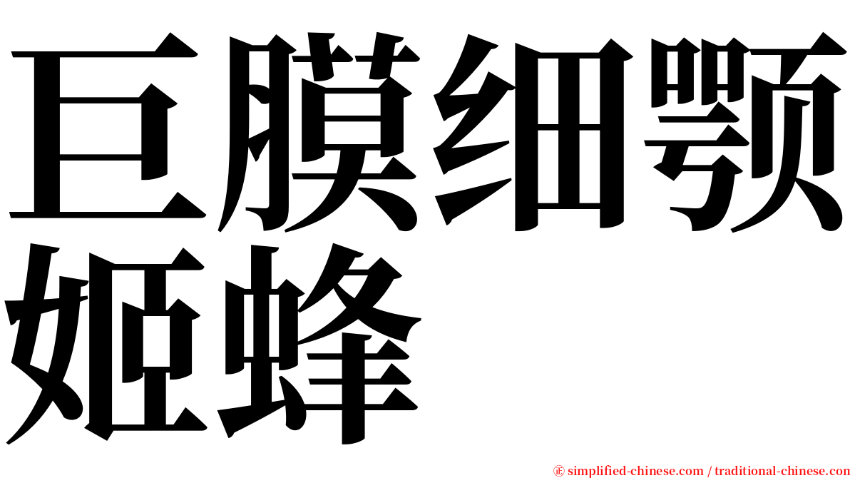 巨膜细颚姬蜂 serif font