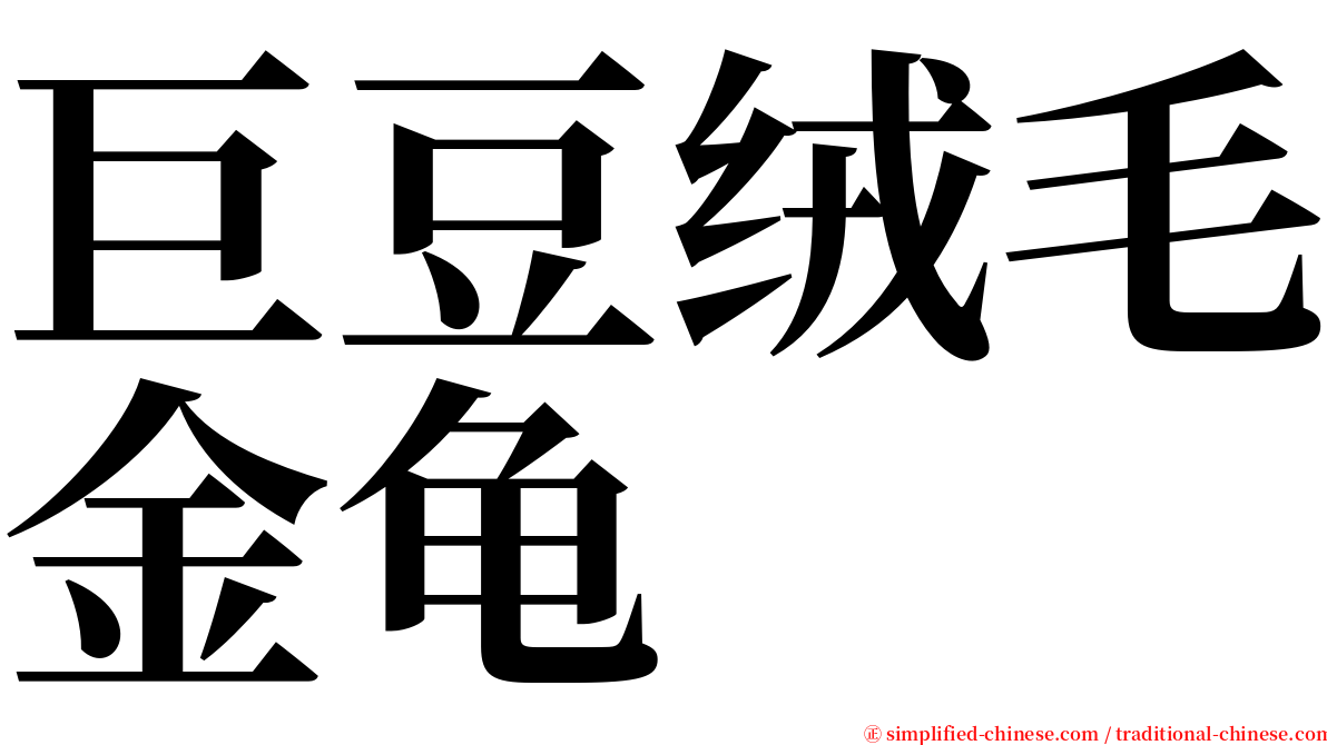 巨豆绒毛金龟 serif font