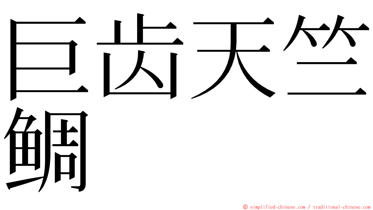 巨齿天竺鲷 ming font