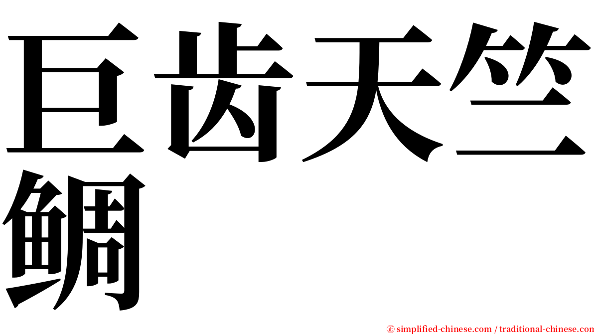 巨齿天竺鲷 serif font