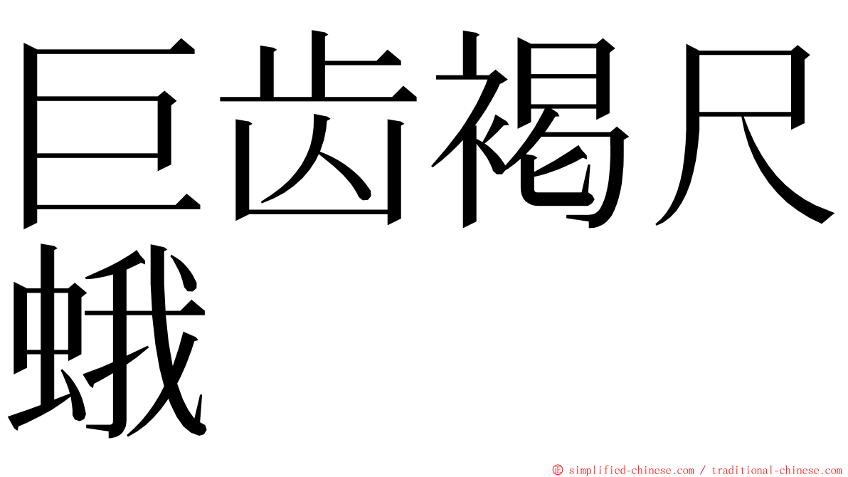 巨齿褐尺蛾 ming font