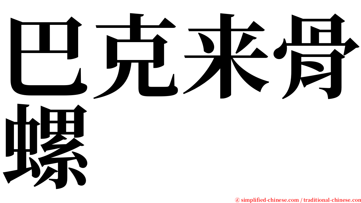 巴克来骨螺 serif font