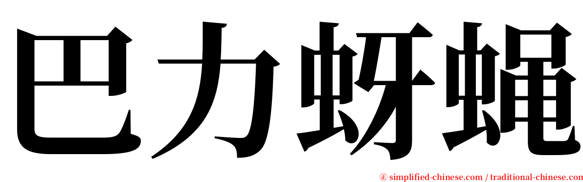 巴力蚜蝇 serif font