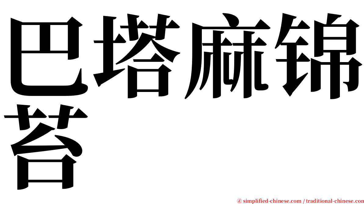 巴塔麻锦苔 serif font