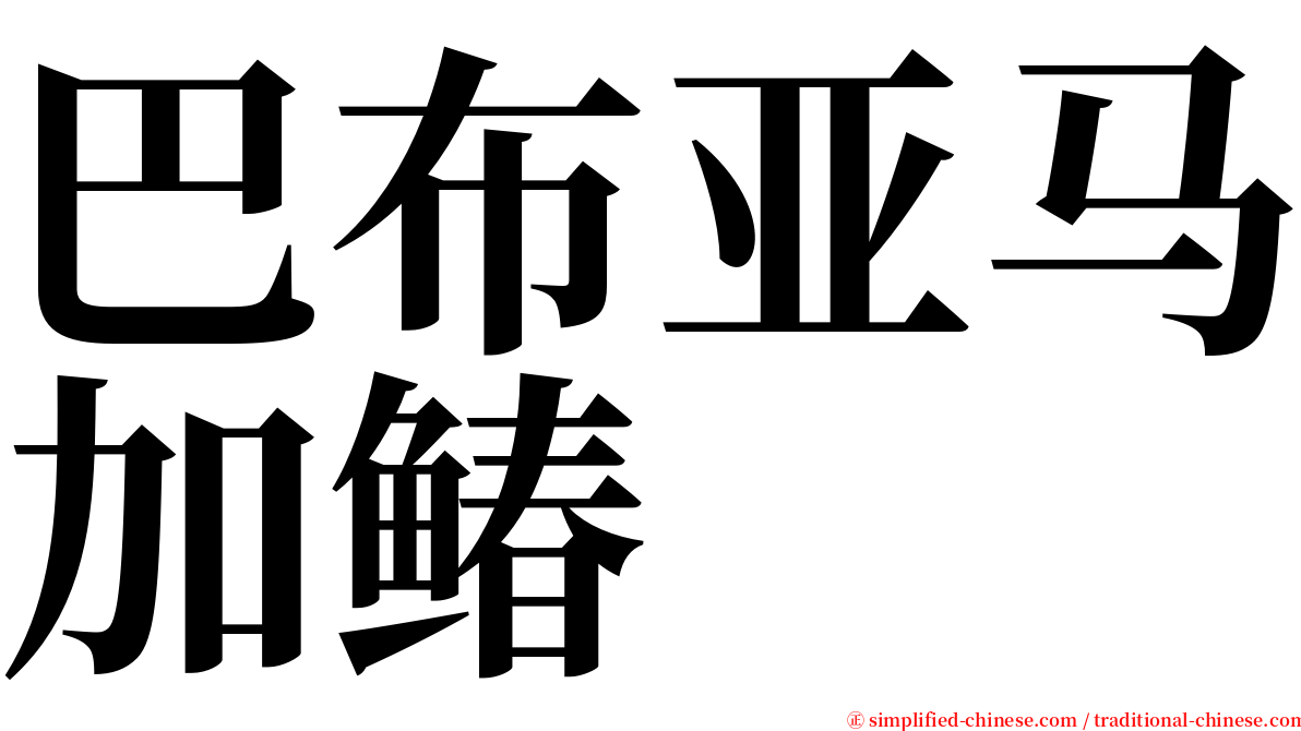 巴布亚马加䲠 serif font