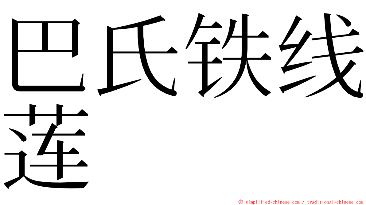 巴氏铁线莲 ming font