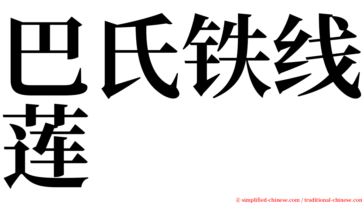 巴氏铁线莲 serif font