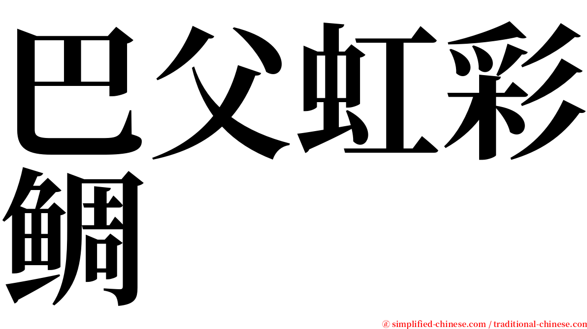 巴父虹彩鲷 serif font