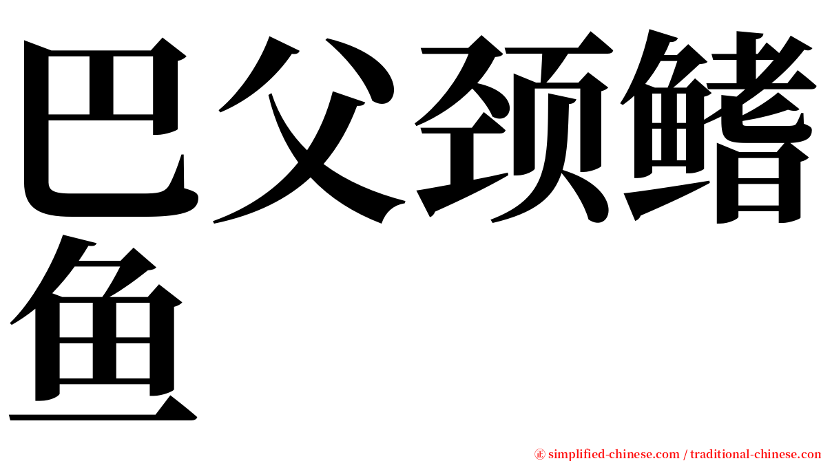 巴父颈鳍鱼 serif font