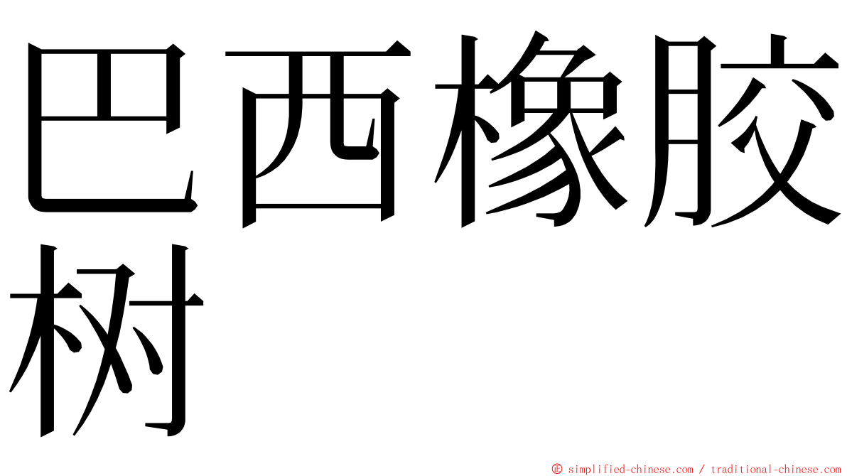 巴西橡胶树 ming font