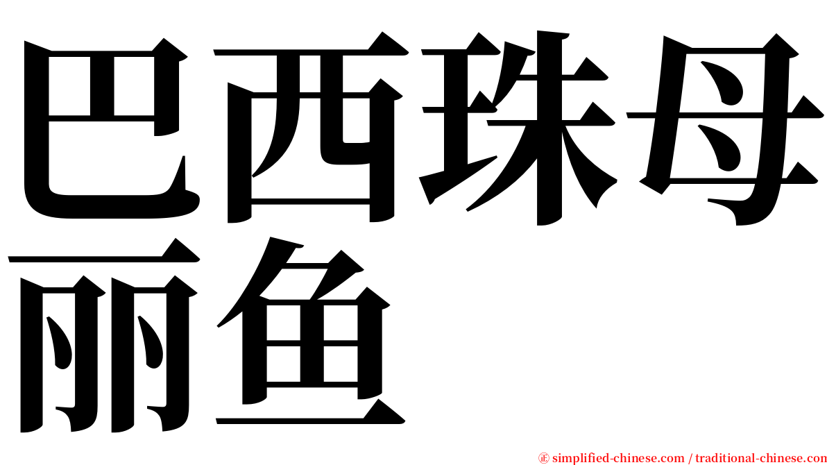 巴西珠母丽鱼 serif font