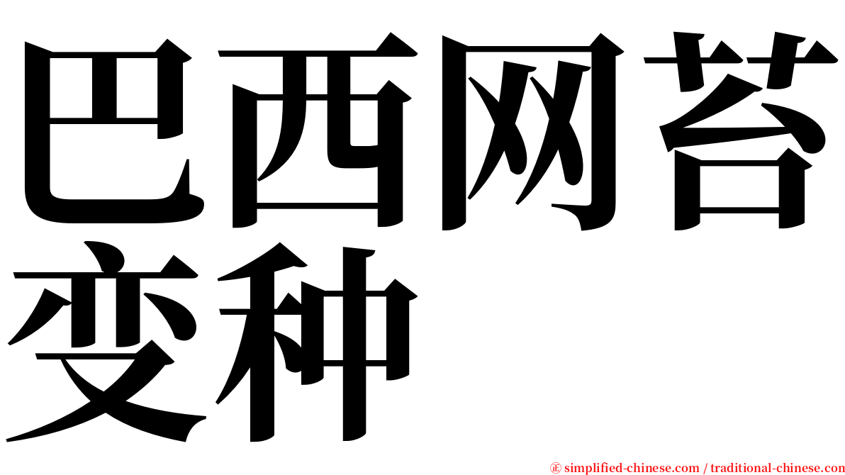 巴西网苔变种 serif font