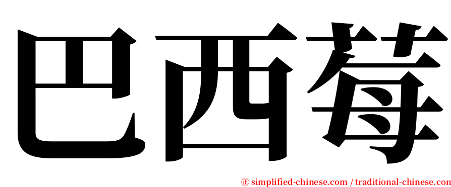 巴西莓 serif font