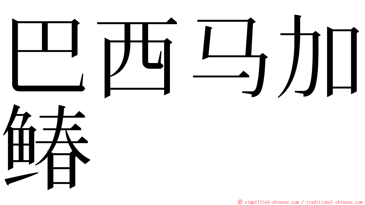 巴西马加䲠 ming font