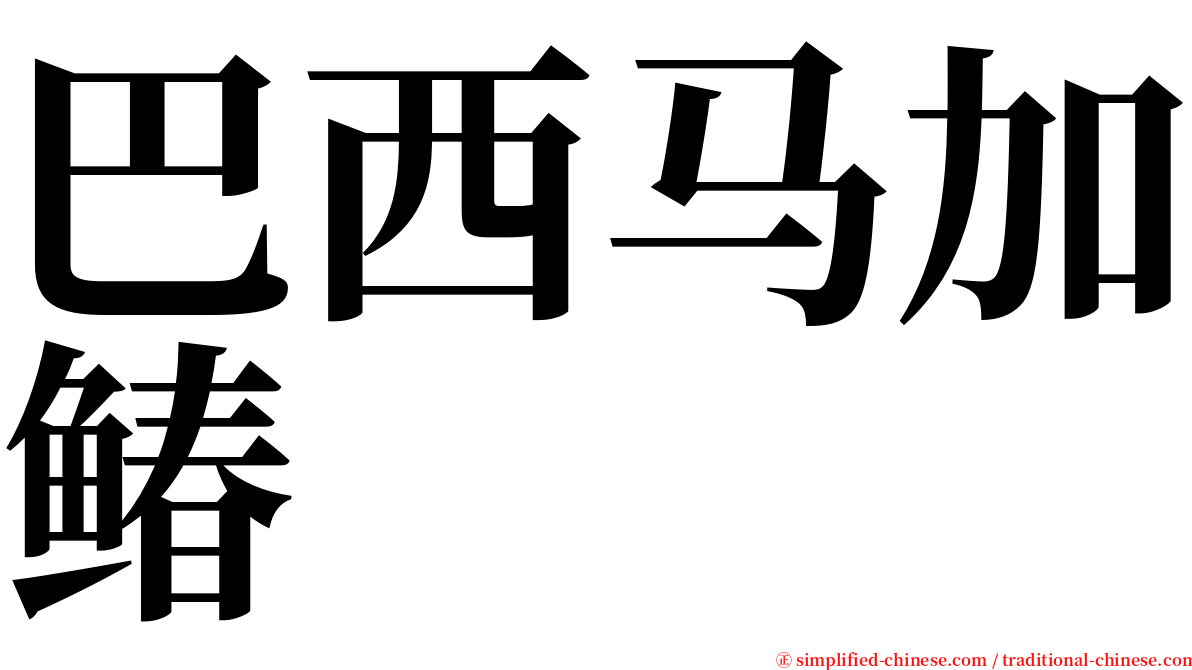 巴西马加䲠 serif font