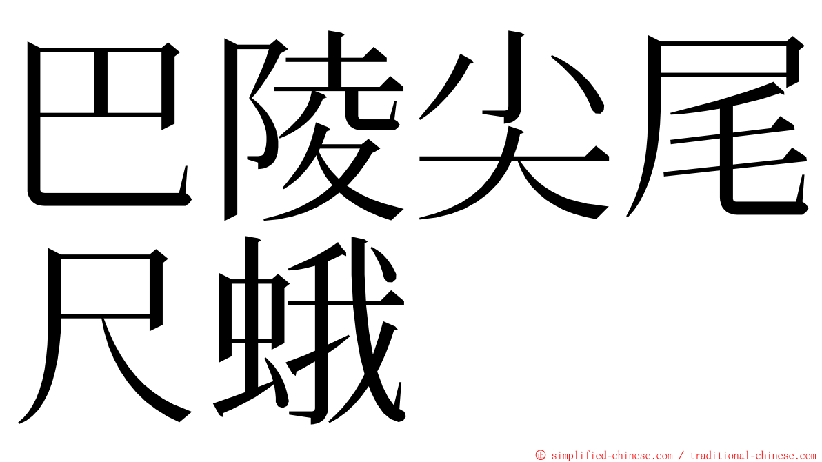 巴陵尖尾尺蛾 ming font