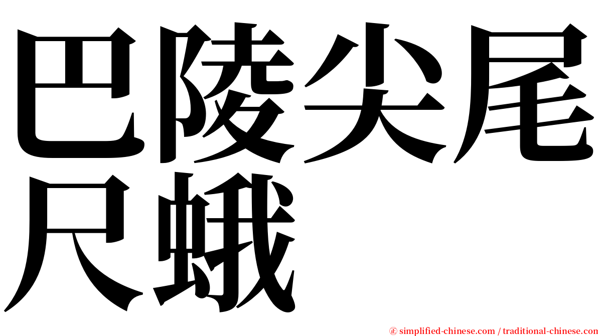 巴陵尖尾尺蛾 serif font