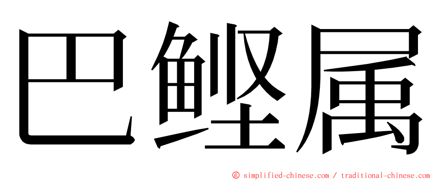 巴鲣属 ming font