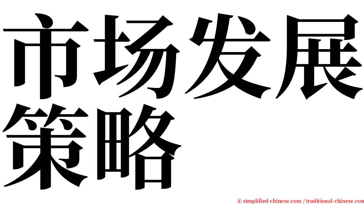 市场发展策略 serif font