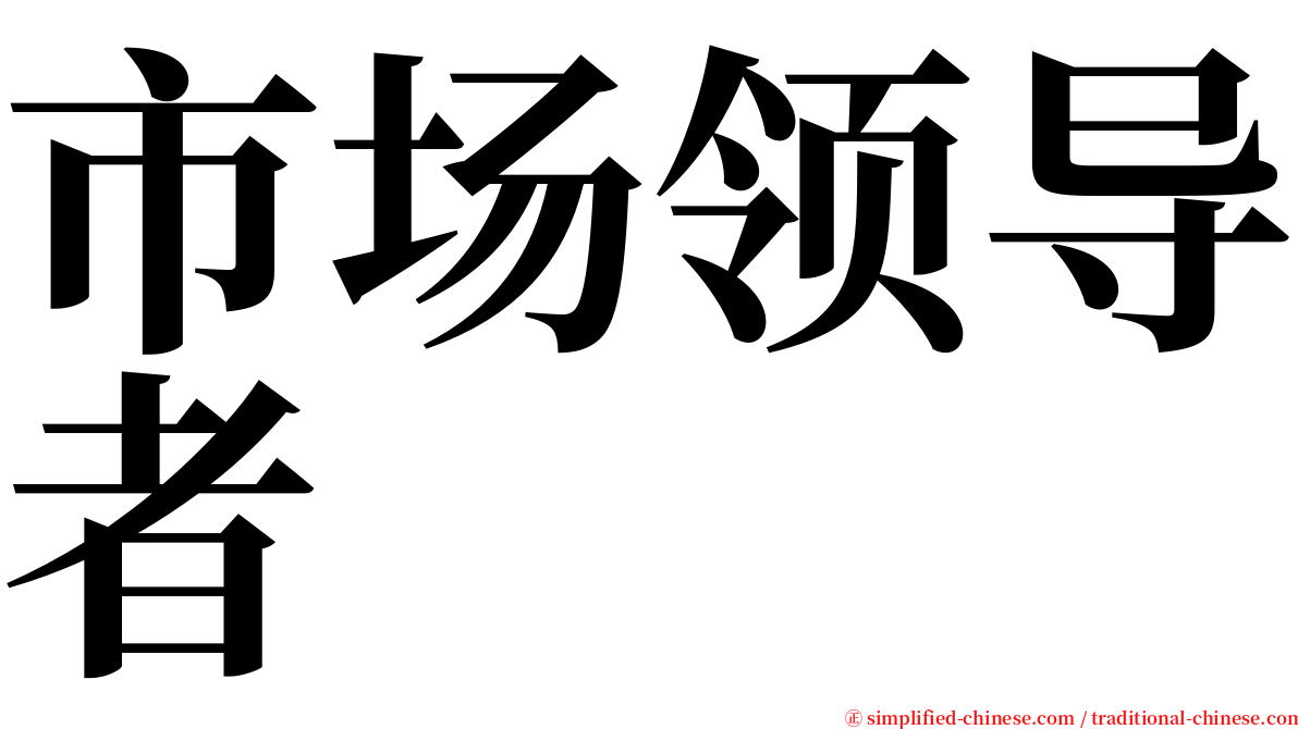 市场领导者 serif font