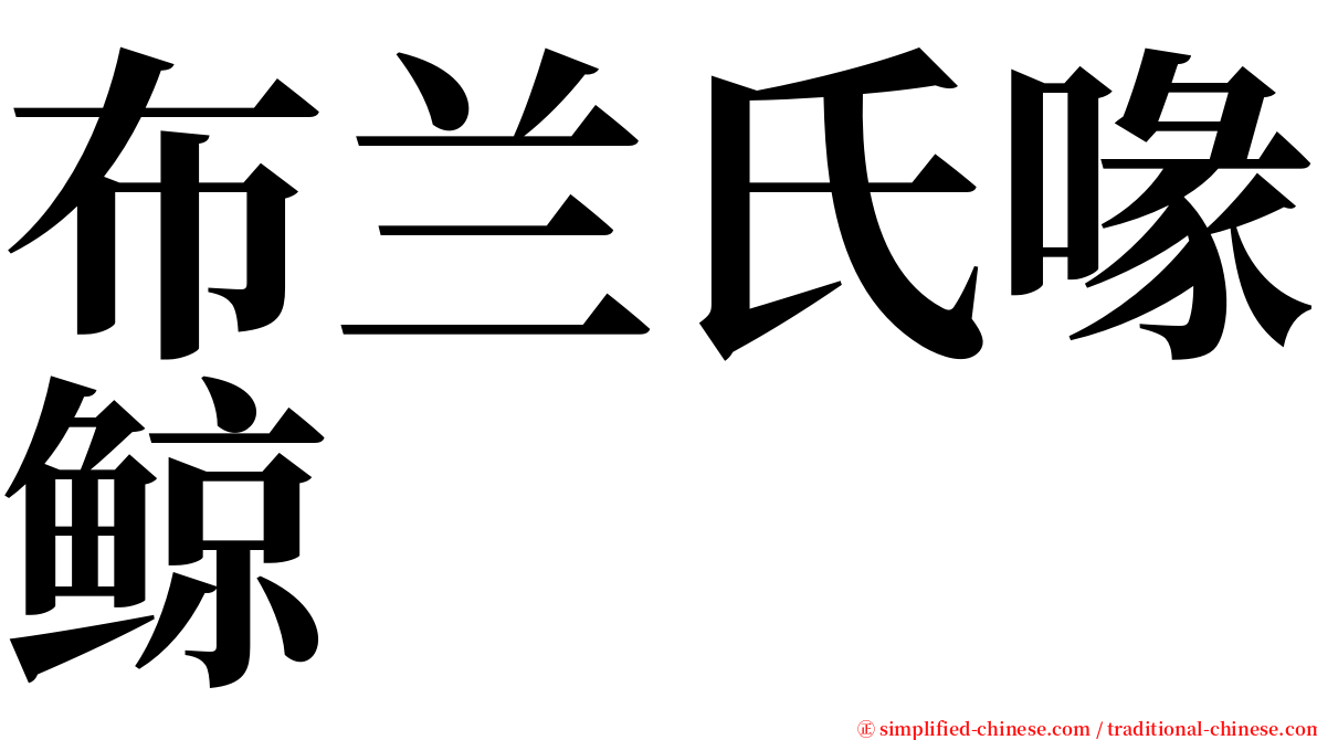 布兰氏喙鲸 serif font