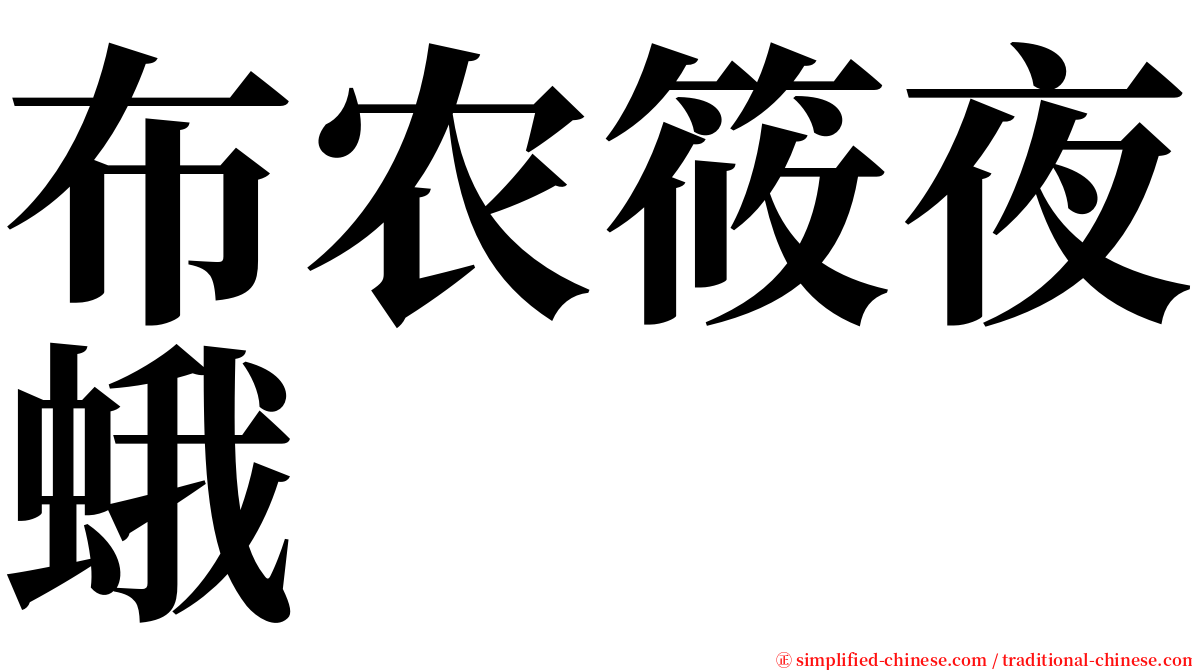 布农筱夜蛾 serif font