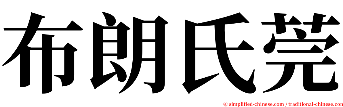 布朗氏莞 serif font