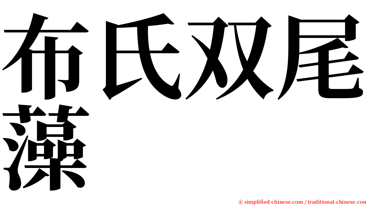 布氏双尾藻 serif font