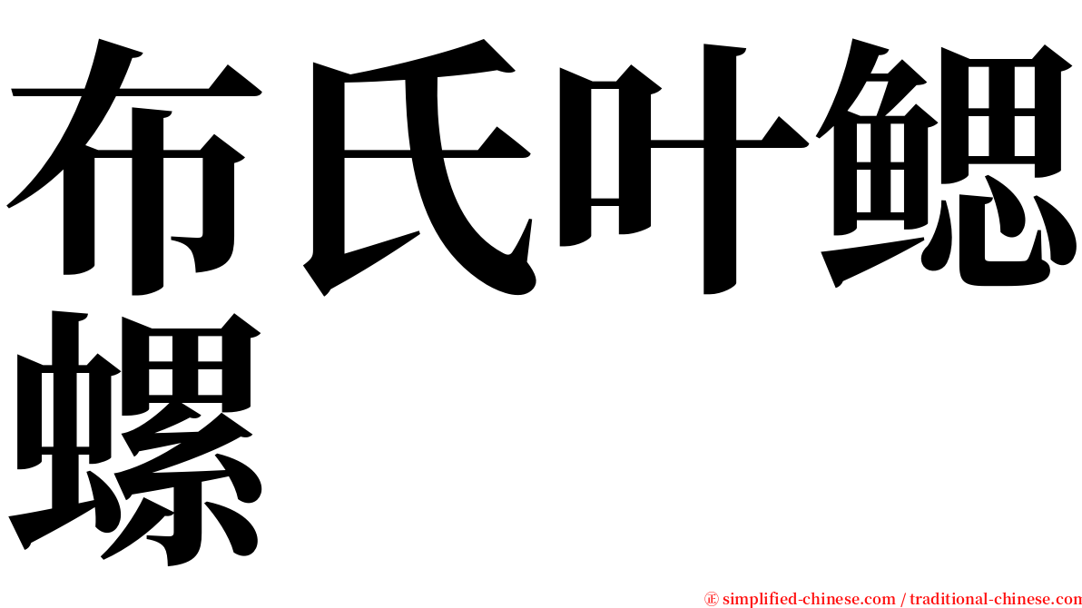 布氏叶鳃螺 serif font
