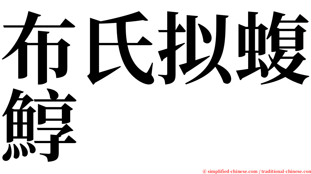 布氏拟蝮鯙 serif font