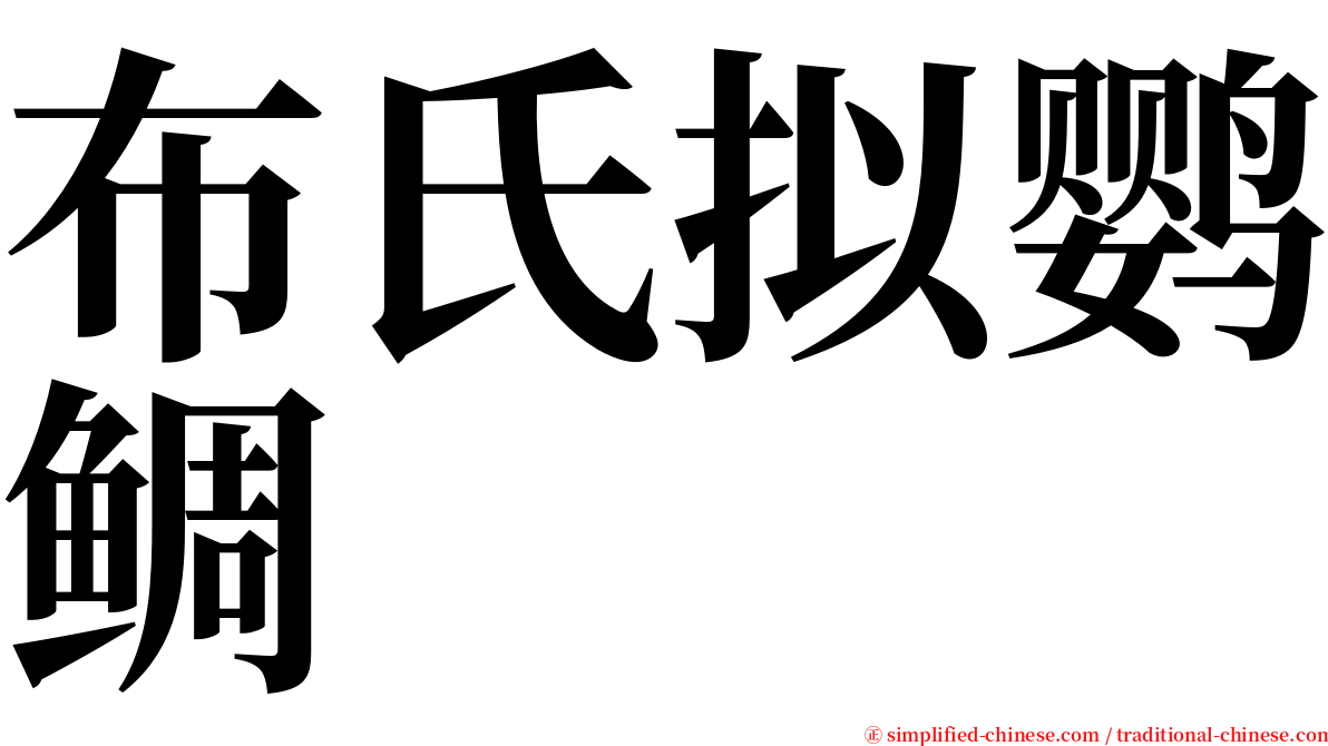 布氏拟鹦鲷 serif font