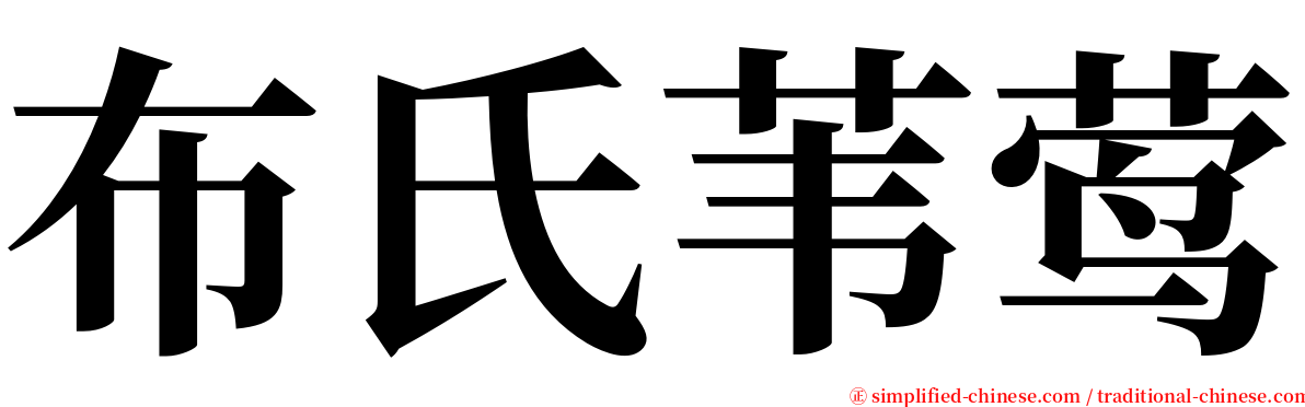 布氏苇莺 serif font