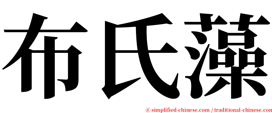 布氏藻 serif font