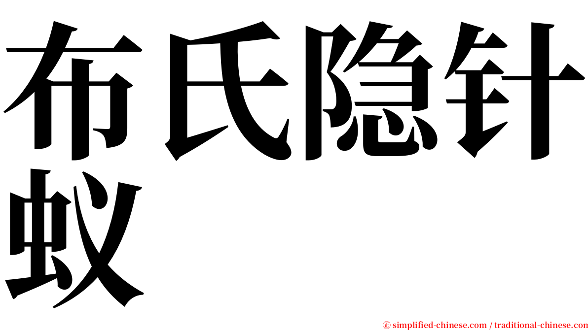 布氏隐针蚁 serif font