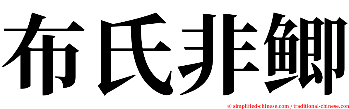 布氏非鲫 serif font