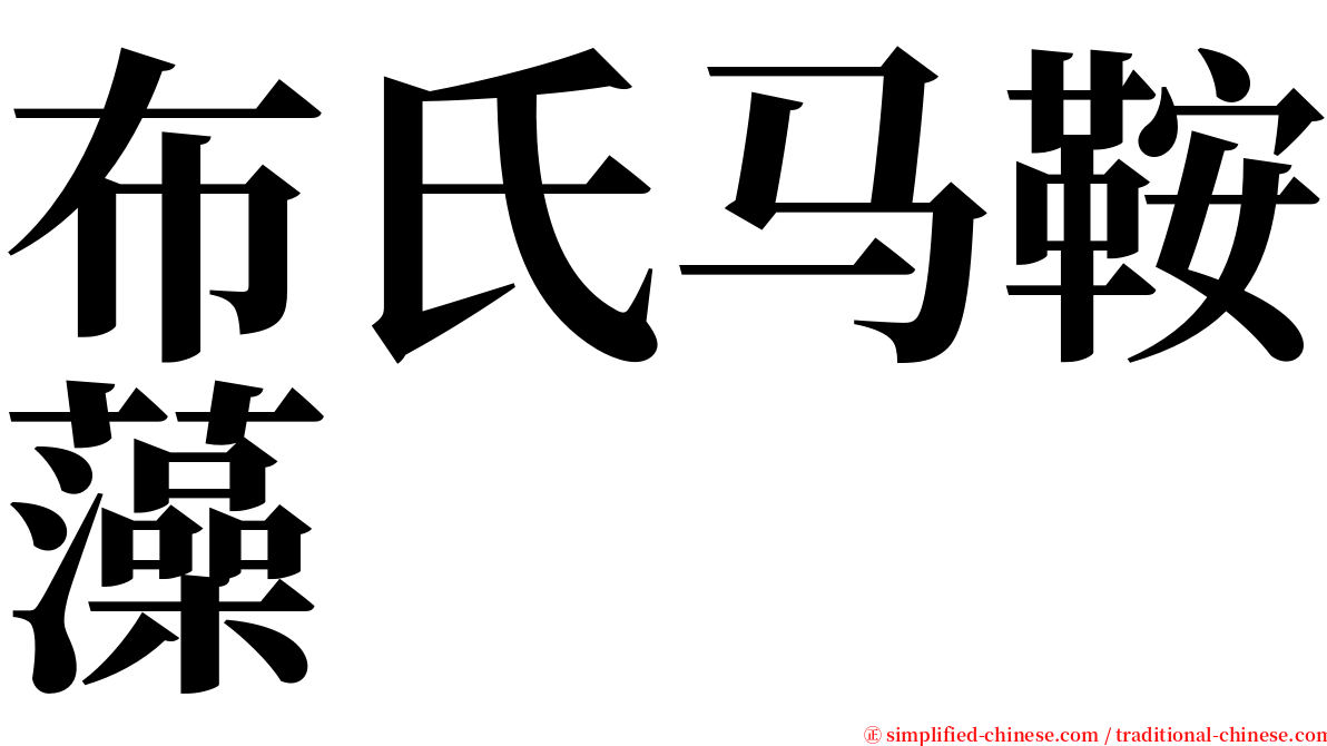 布氏马鞍藻 serif font