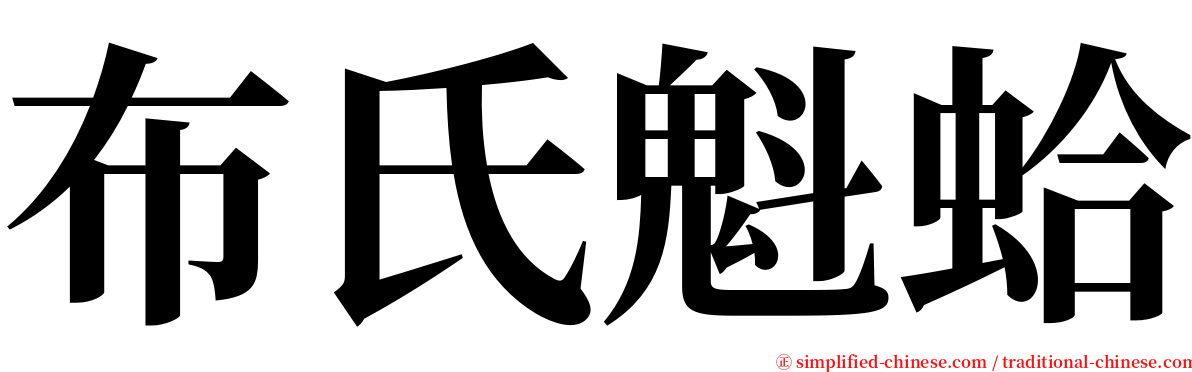 布氏魁蛤 serif font